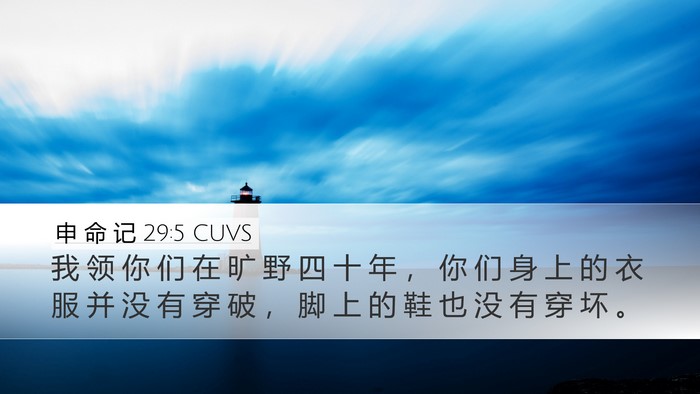 申 命 记 29:5 CUVS Bible Verse Image