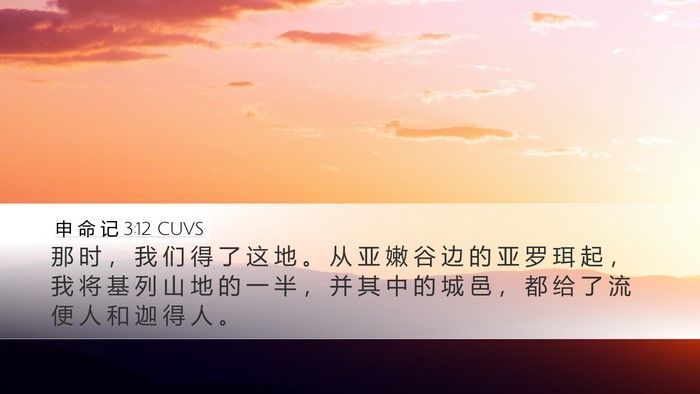 申 命 记 3:12 CUVS Bible Verse Image