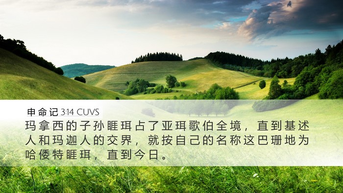 申 命 记 3:14 CUVS Bible Verse Image