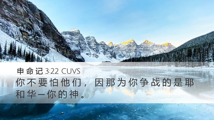 申 命 记 3:22 CUVS Bible Verse Image