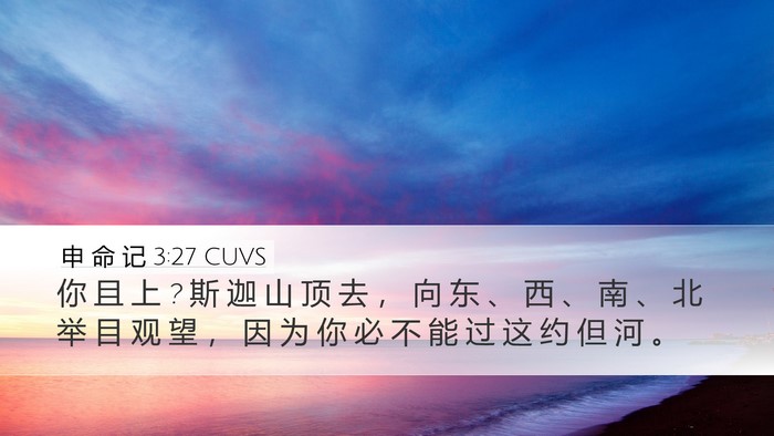申 命 记 3:27 CUVS Bible Verse Image