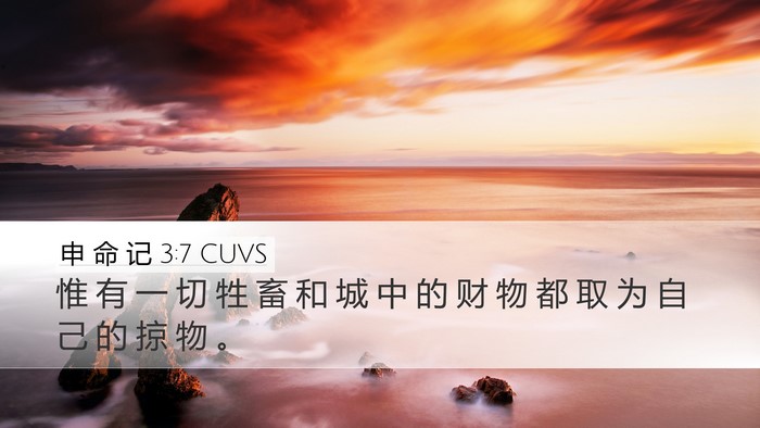 申 命 记 3:7 CUVS Desktop Wallpaper - 惟 有 一 切 牲 畜 和 城 中 的 财 物 - Desktop Bible Verse Wallpaper