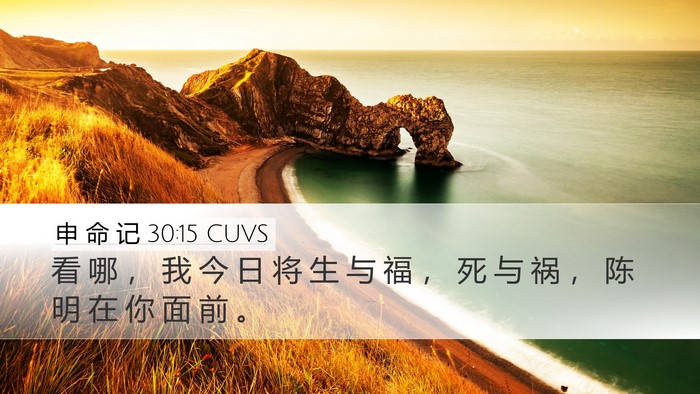 申 命 记 30:15 CUVS Bible Verse Image