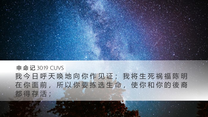 申 命 记 30:19 CUVS Bible Verse Image