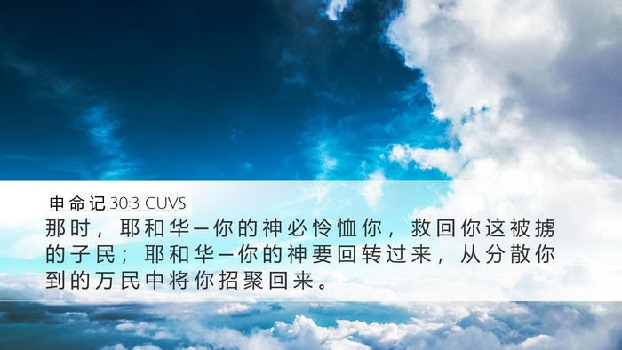 申 命 记 30:3 CUVS Bible Verse Image