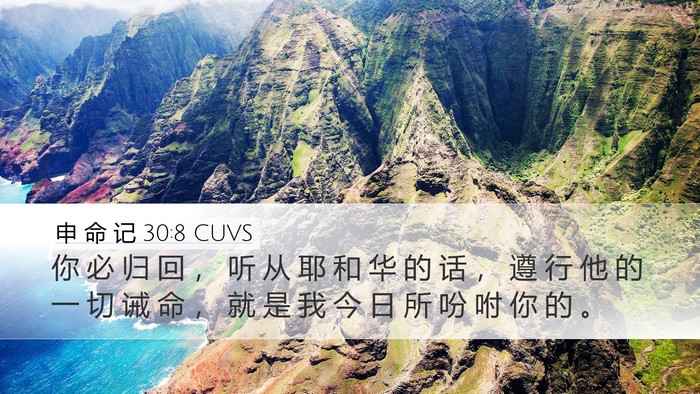 申 命 记 30:8 CUVS Bible Verse Image