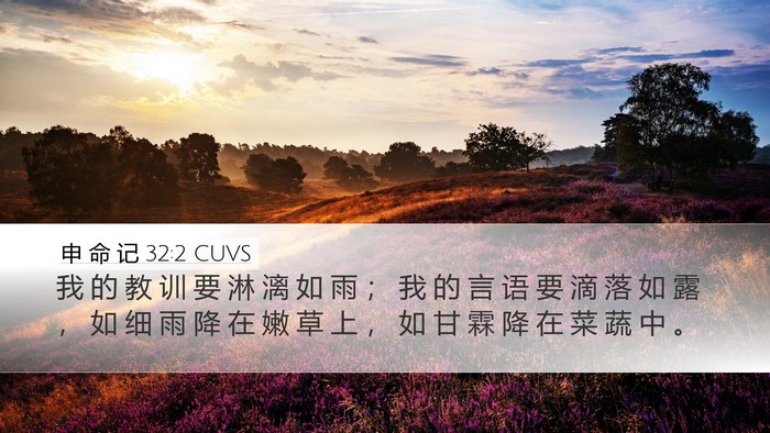 申 命 记 32:2 CUVS Bible Verse Image