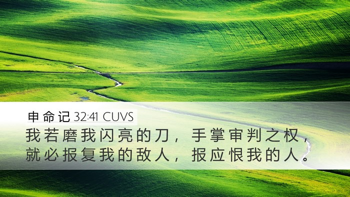 申 命 记 32:41 CUVS Bible Verse Image