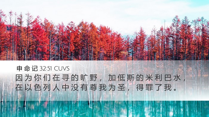 申 命 记 32:51 CUVS Bible Verse Image