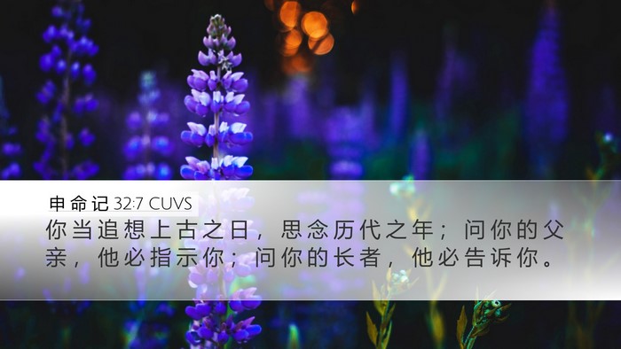 申 命 记 32:7 CUVS Bible Verse Image