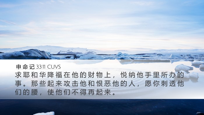 申 命 记 33:11 CUVS Bible Verse Image