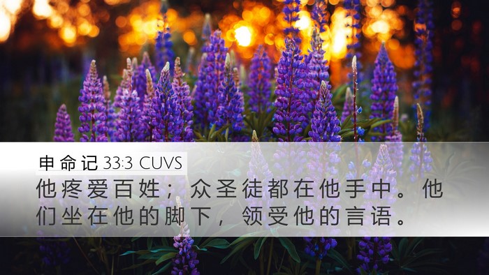 申 命 记 33:3 CUVS Bible Verse Image