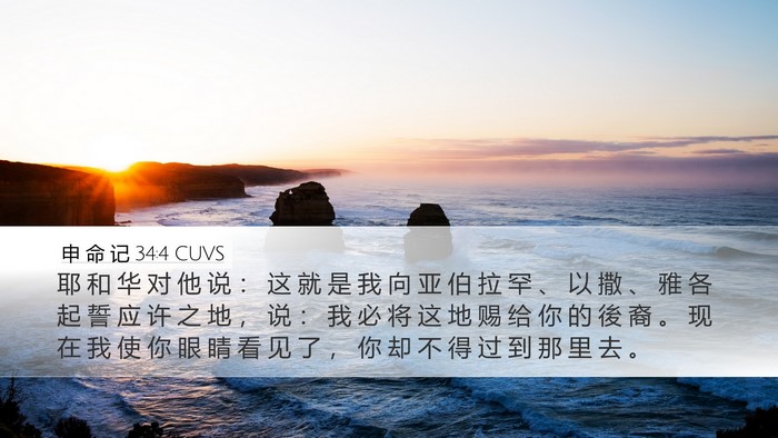 申 命 记 34:4 CUVS Bible Verse Image