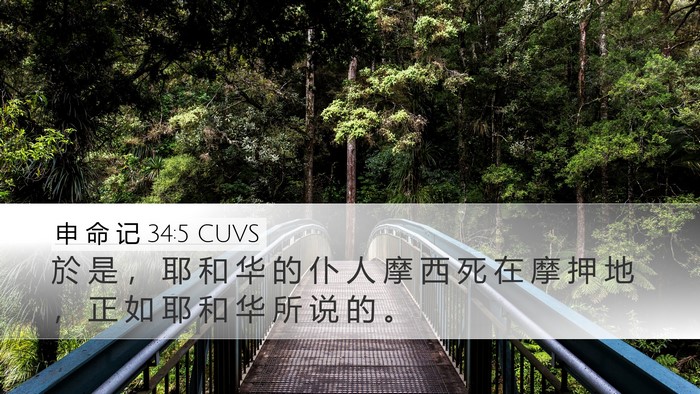 申 命 记 34:5 CUVS Bible Verse Image