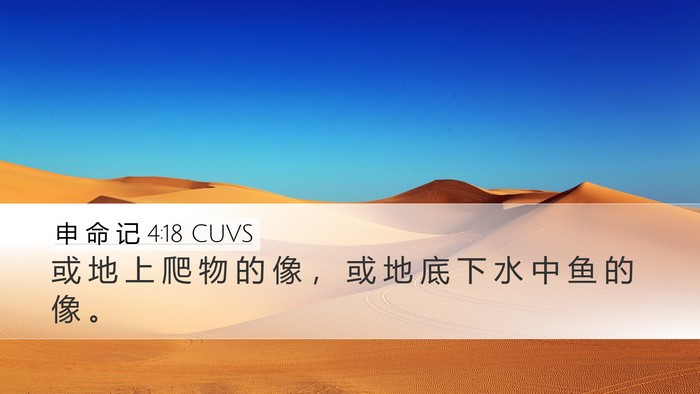 申 命 记 4:18 CUVS Desktop Wallpaper - 或 地 上 爬 物 的 像 ， 或 地 底 下 - Desktop Bible Verse Wallpaper