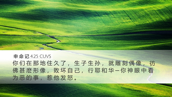 申 命 记 4:25 CUVS Bible Verse Image