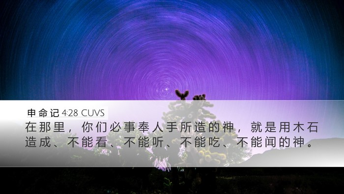 申 命 记 4:28 CUVS Bible Verse Image