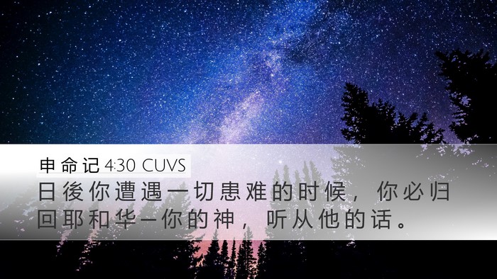 申 命 记 4:30 CUVS Bible Verse Image