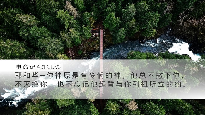 申 命 记 4:31 CUVS Bible Verse Image