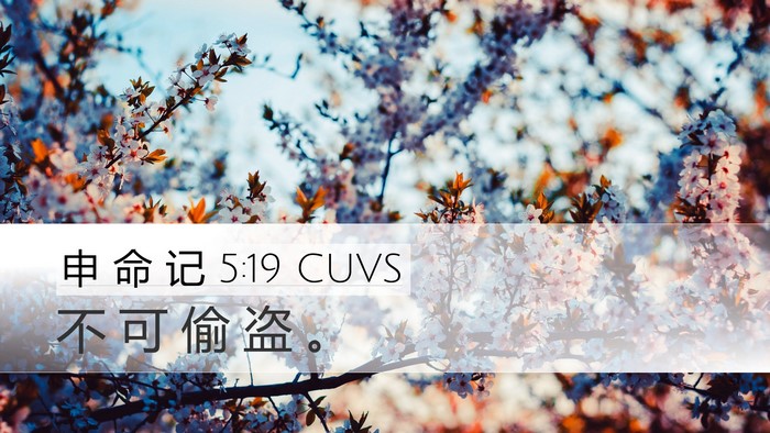 申 命 记 5:19 CUVS Desktop Wallpaper - 不 可 偷 盗 - Desktop Bible Verse Wallpaper