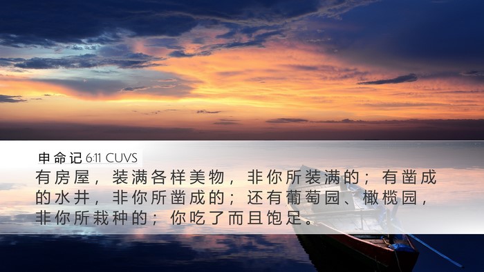 申 命 记 6:11 CUVS Bible Verse Image