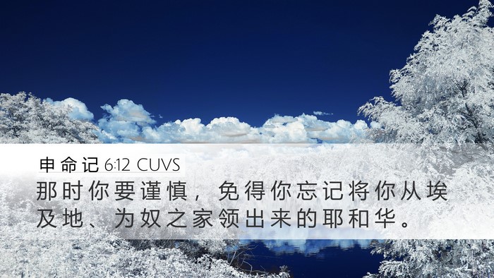 申 命 记 6:12 CUVS Bible Verse Image