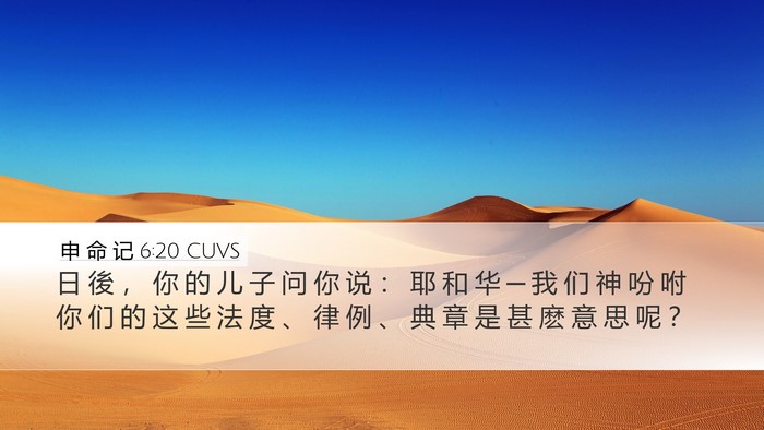 申 命 记 6:20 CUVS Bible Verse Image