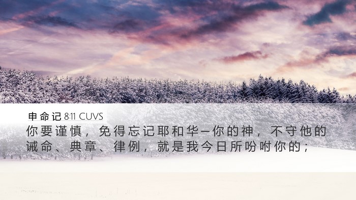 申 命 记 8:11 CUVS Bible Verse Image