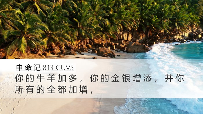申 命 记 8:13 CUVS Desktop Wallpaper - 你 的 牛 羊 加 多 ， 你 的 金 银 增 - Desktop Bible Verse Wallpaper