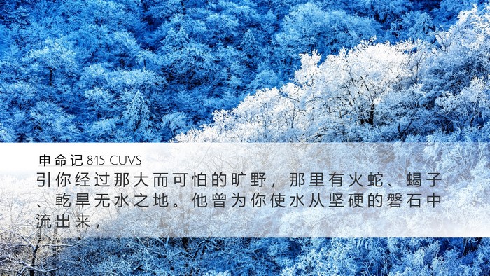 申 命 记 8:15 CUVS Bible Verse Image