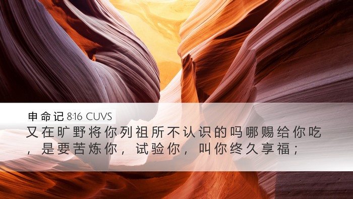 申 命 记 8:16 CUVS Bible Verse Image