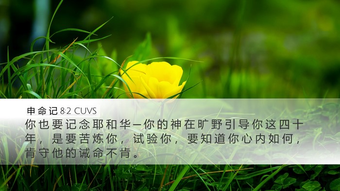 申 命 记 8:2 CUVS Bible Verse Image