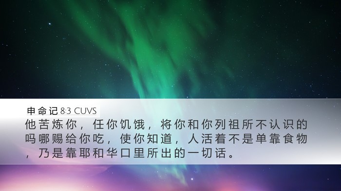 申 命 记 8:3 CUVS Bible Verse Image