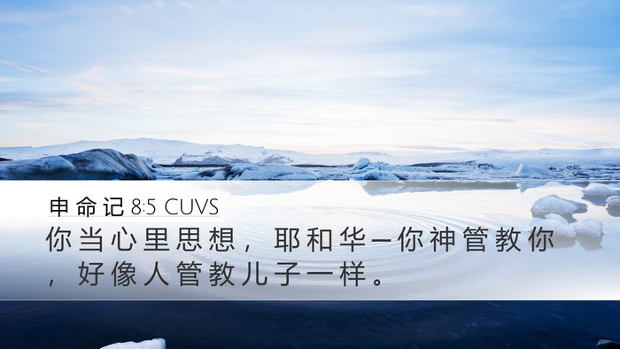 申 命 记 8:5 CUVS Bible Verse Image