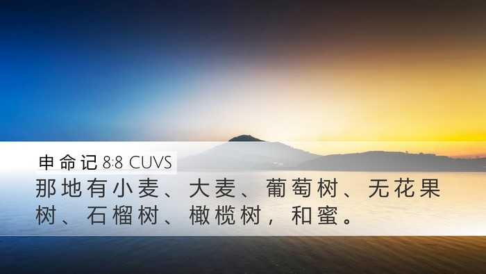 申 命 记 8:8 CUVS Desktop Wallpaper - 那 地 有 小 麦 、 大 麦 、 葡 萄 树 - Desktop Bible Verse Wallpaper
