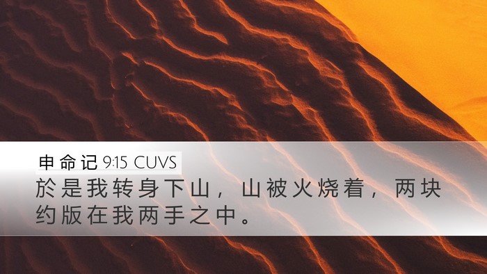 申 命 记 9:15 CUVS Bible Verse Image