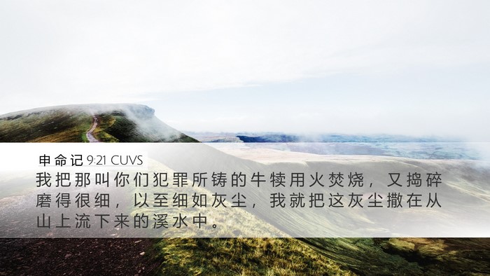 申 命 记 9:21 CUVS Bible Verse Image