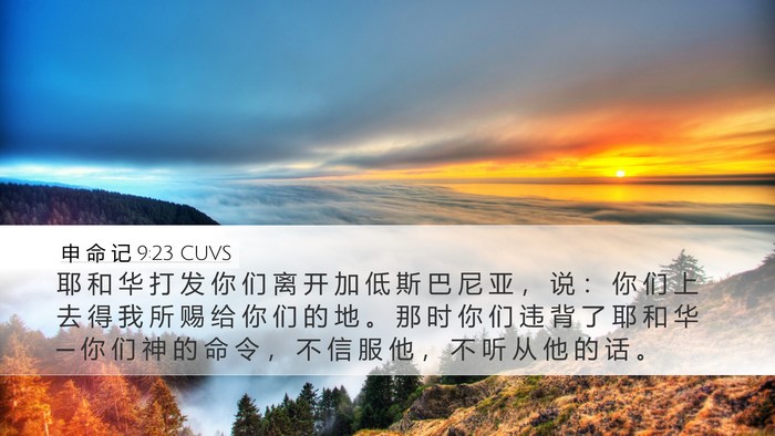 申 命 记 9:23 CUVS Bible Verse Image