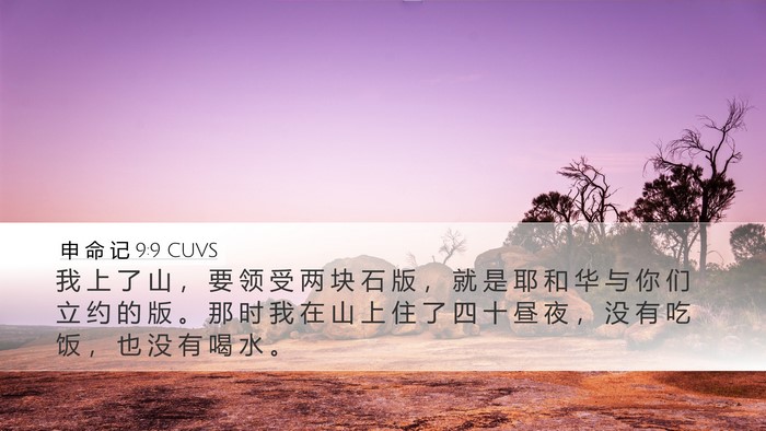 申 命 记 9:9 CUVS Bible Verse Image