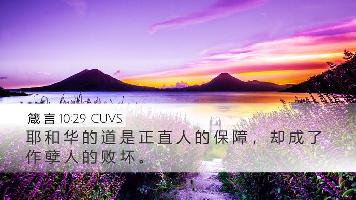 箴 言 10:29 CUVS Bible Verse Image