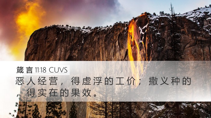 箴 言 11:18 CUVS Bible Verse Image