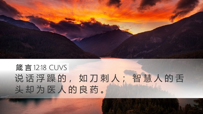 箴 言 12:18 CUVS Bible Verse Image