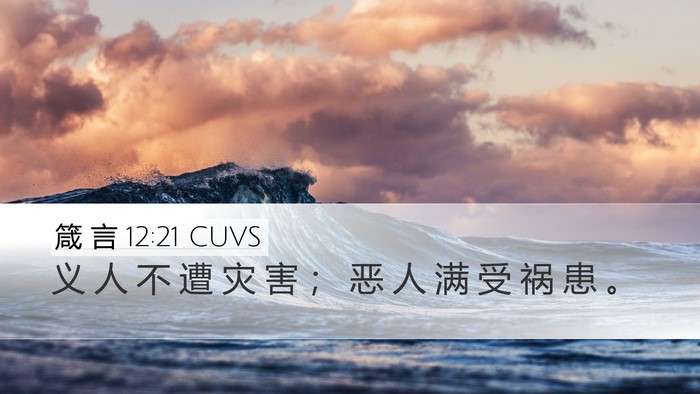 箴 言 12:21 CUVS Bible Verse Image