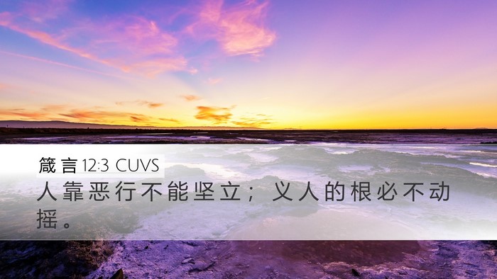 箴 言 12:3 CUVS Bible Verse Image
