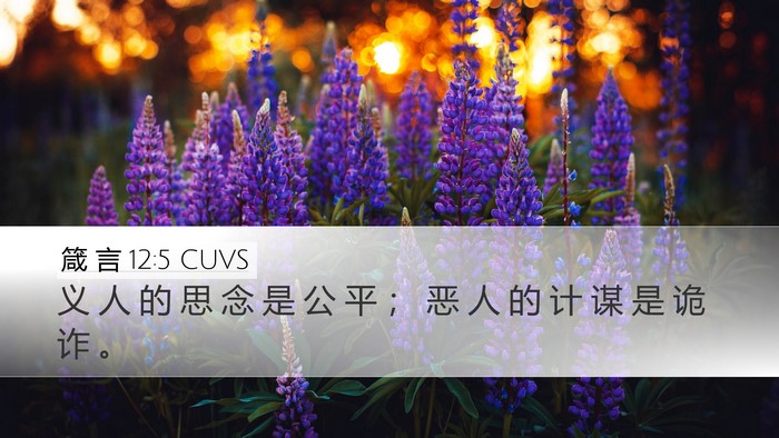 箴 言 12:5 CUVS Bible Verse Image