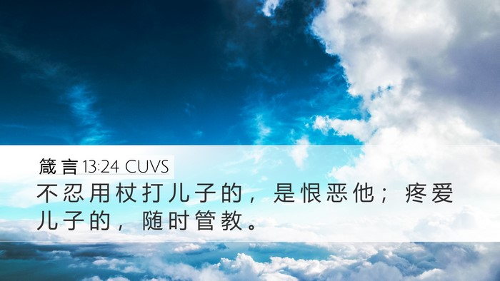 箴 言 13:24 CUVS Bible Verse Image