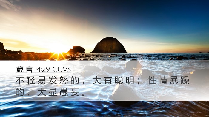 箴 言 14:29 CUVS Bible Verse Image