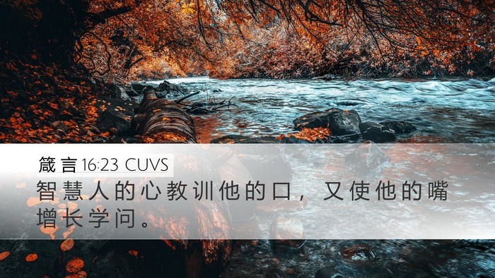 箴 言 16:23 CUVS Bible Verse Image