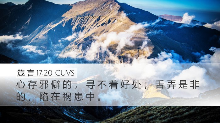 箴 言 17:20 CUVS Bible Verse Image
