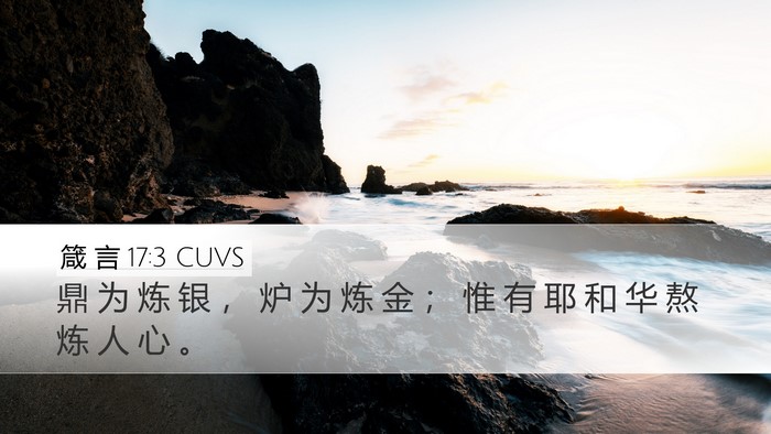 箴 言 17:3 CUVS Bible Verse Image